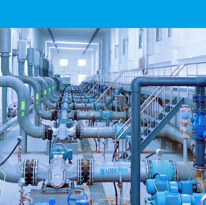 转子泵-MBR膜产水泵